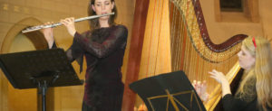 sophie-van-dijk-harp-fluit