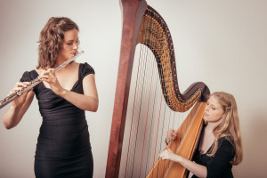 sophie-van-dijk-harp-fluit